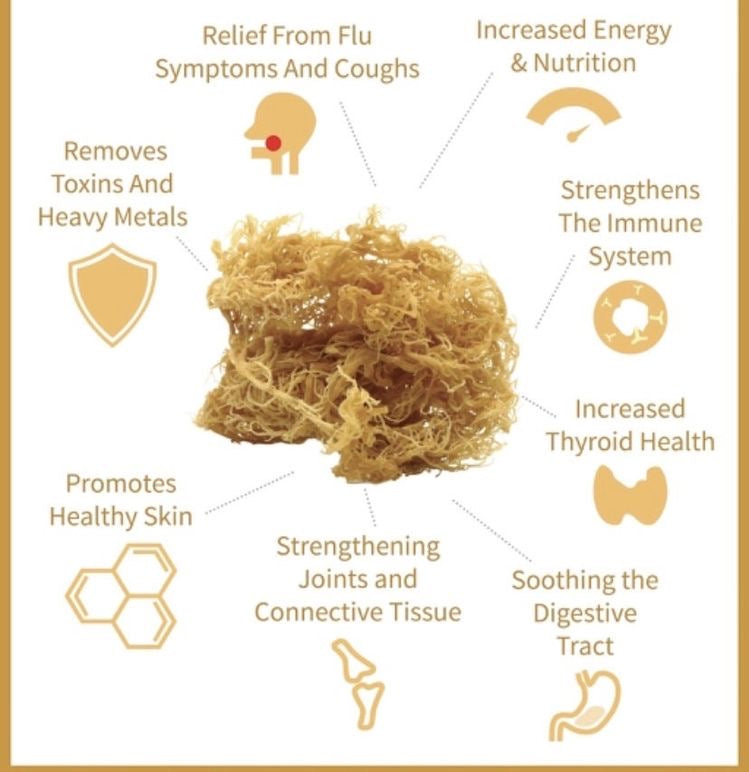 Wildcrafted Sea Moss by Wadadali Naturals